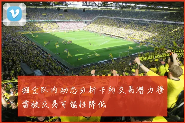 掘金队内动态分析卡约交易潜力穆雷被交易可能性降低