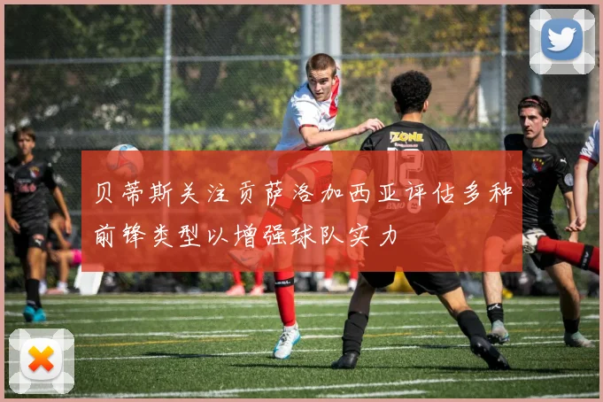 贝蒂斯关注贡萨洛加西亚评估多种前锋类型以增强球队实力